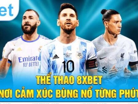 Thể thao 8XBet – Sân chơi cá cược trực tuyến uy tín hàng đầu